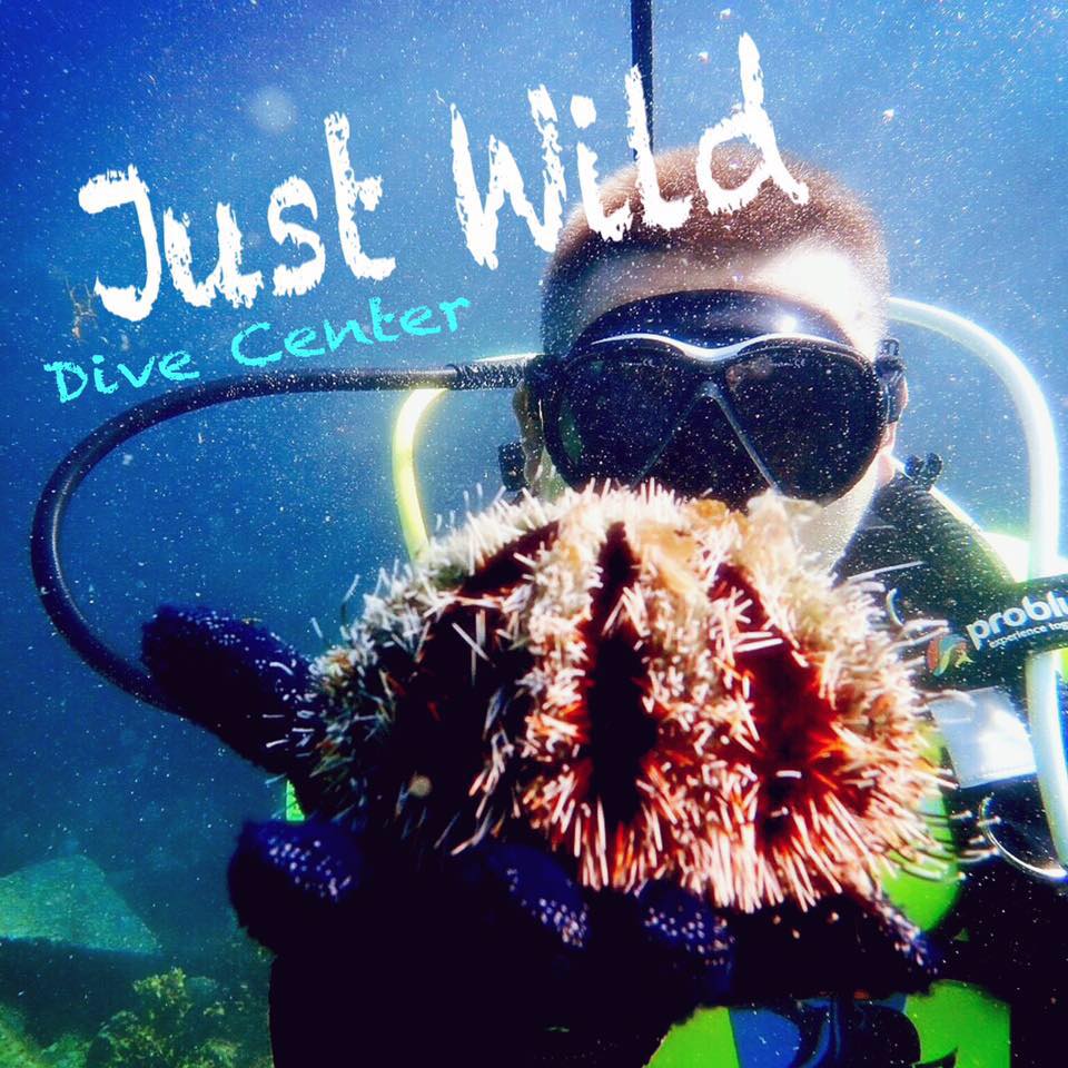 Just Wild Dive Center
